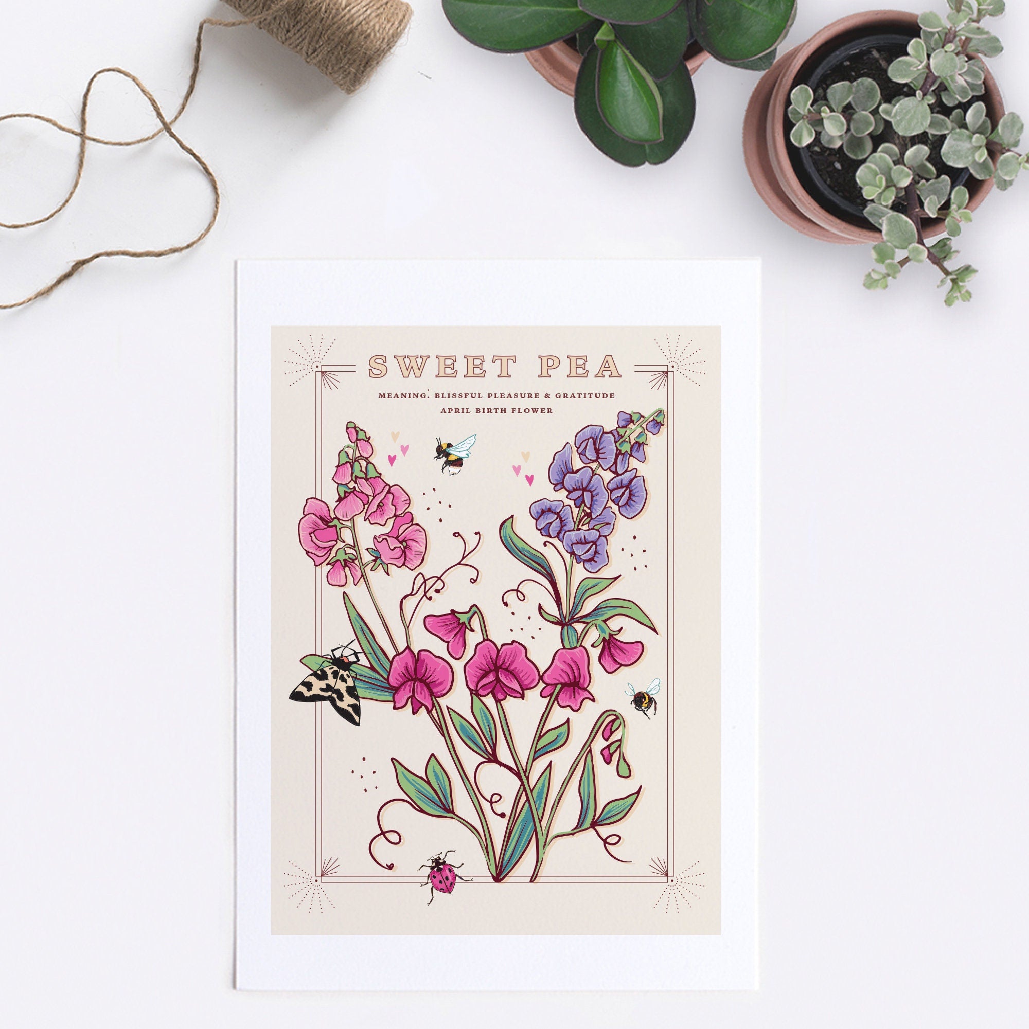 Sweet Pea April Birth Flower Wall Art Print