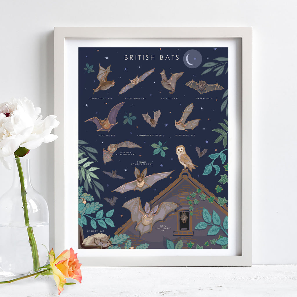 British Bats Nature Guide Wall Art