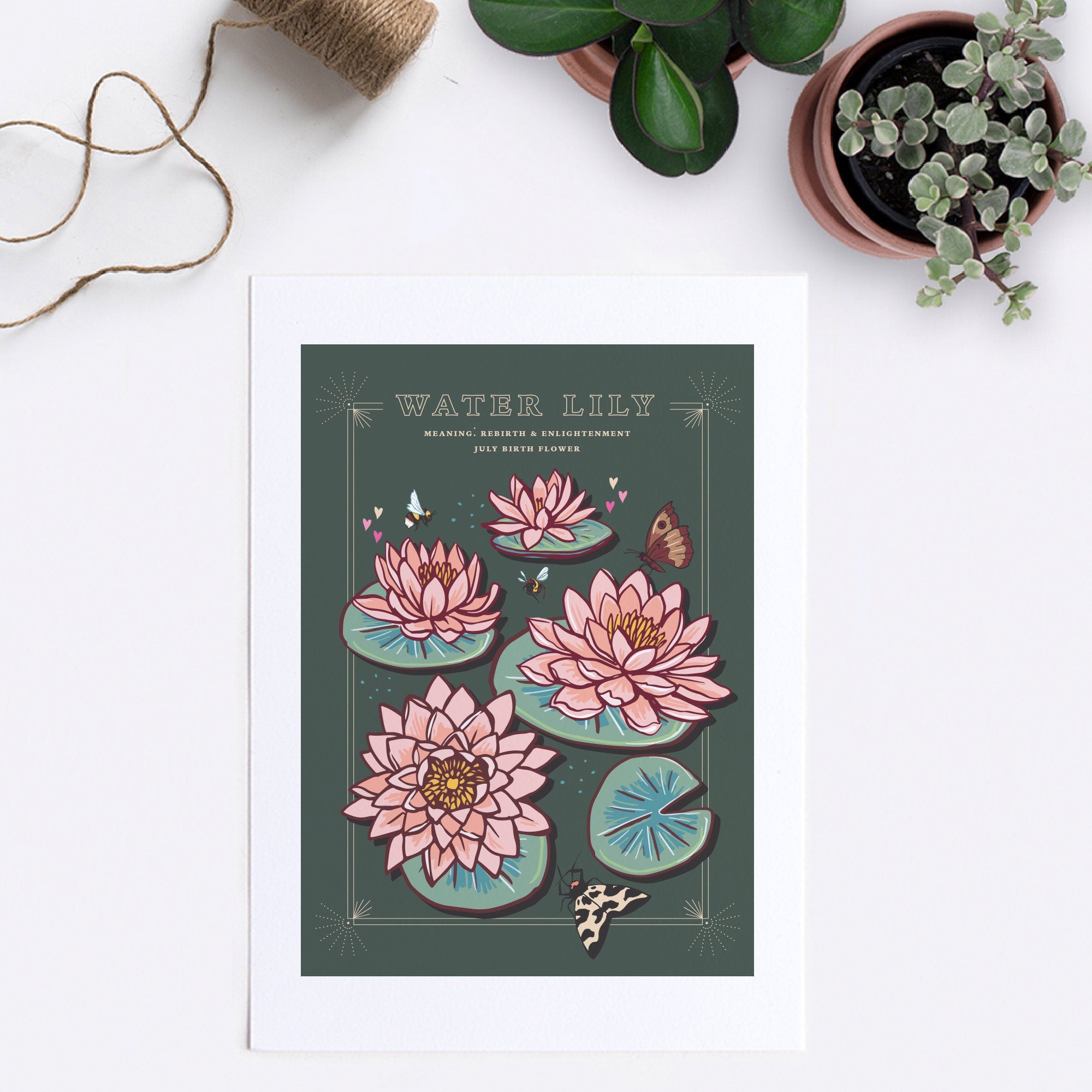 Water Lily July Birth Flower Wall Art Print