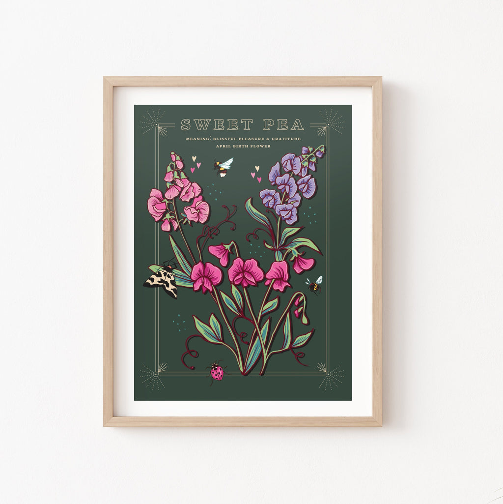 Sweet Pea April Birth Flower Wall Art Print