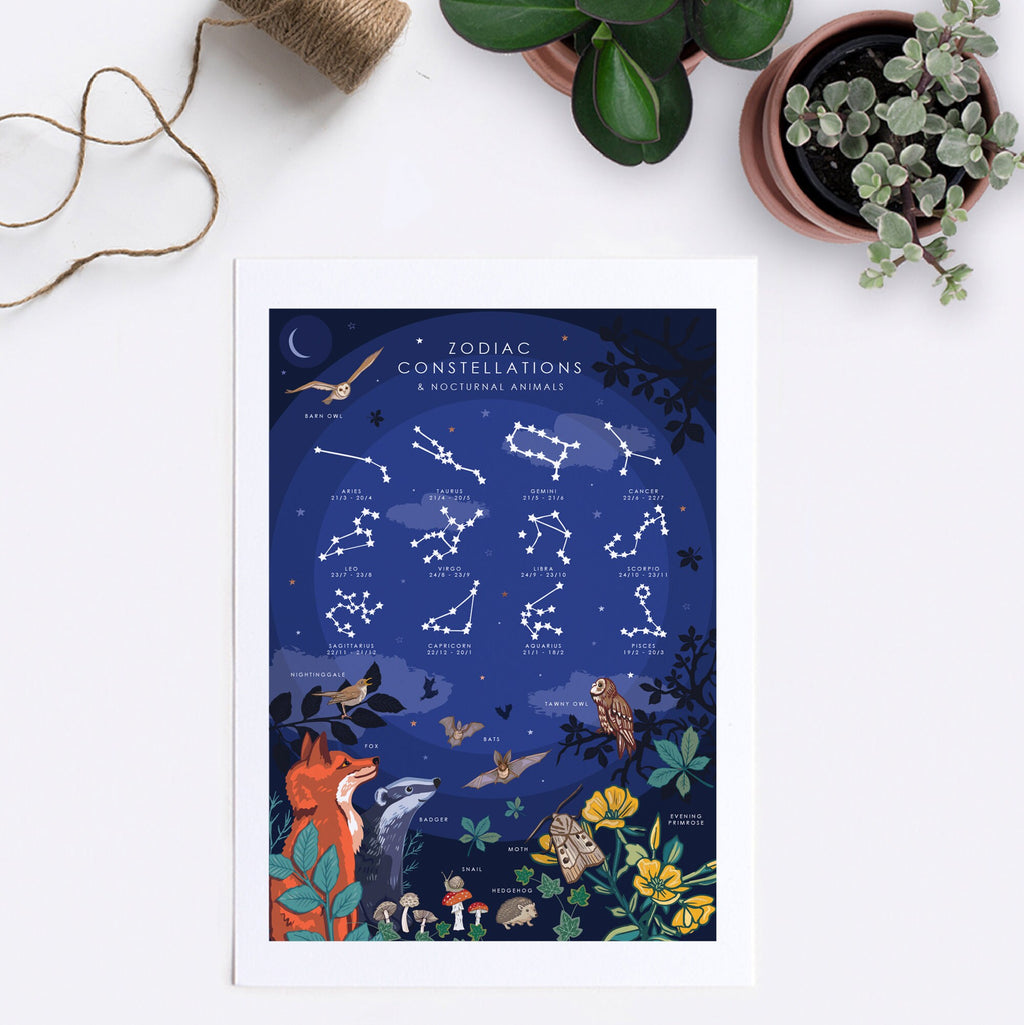 Zodiac Constellations Print and Nocturnal Animals Nature Guide Wall Art Print
