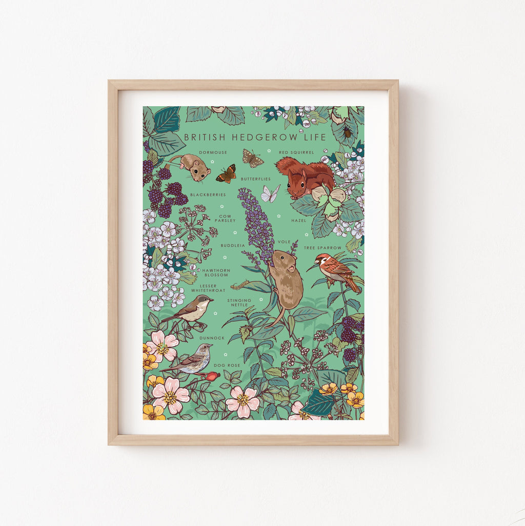 British Hedgerow Life Nature Guide Wall Art Print