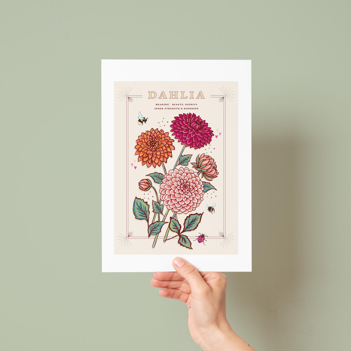 Dahlia Wall Art Print, Flower Meaning Illustration Print