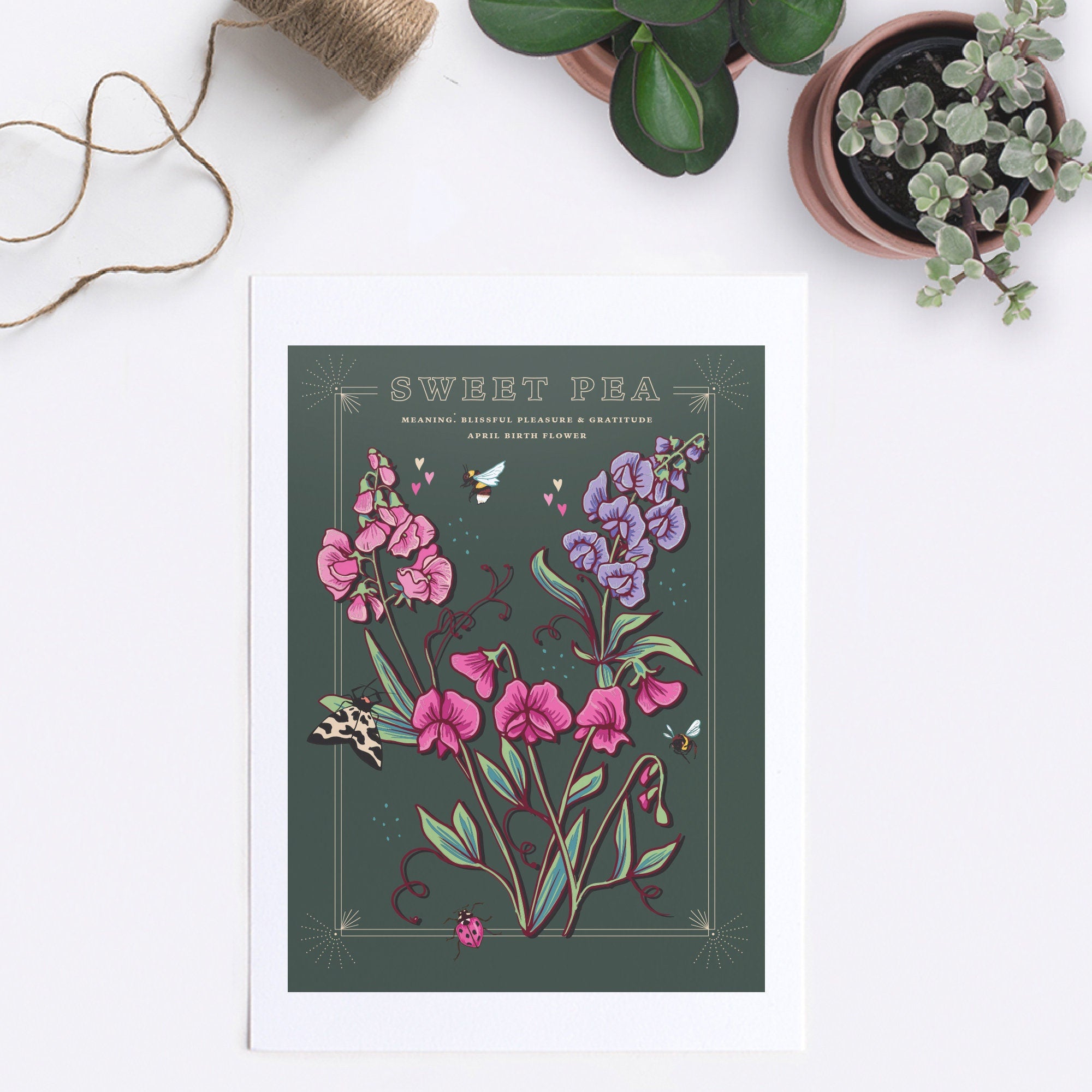 Sweet Pea April Birth Flower Wall Art Print