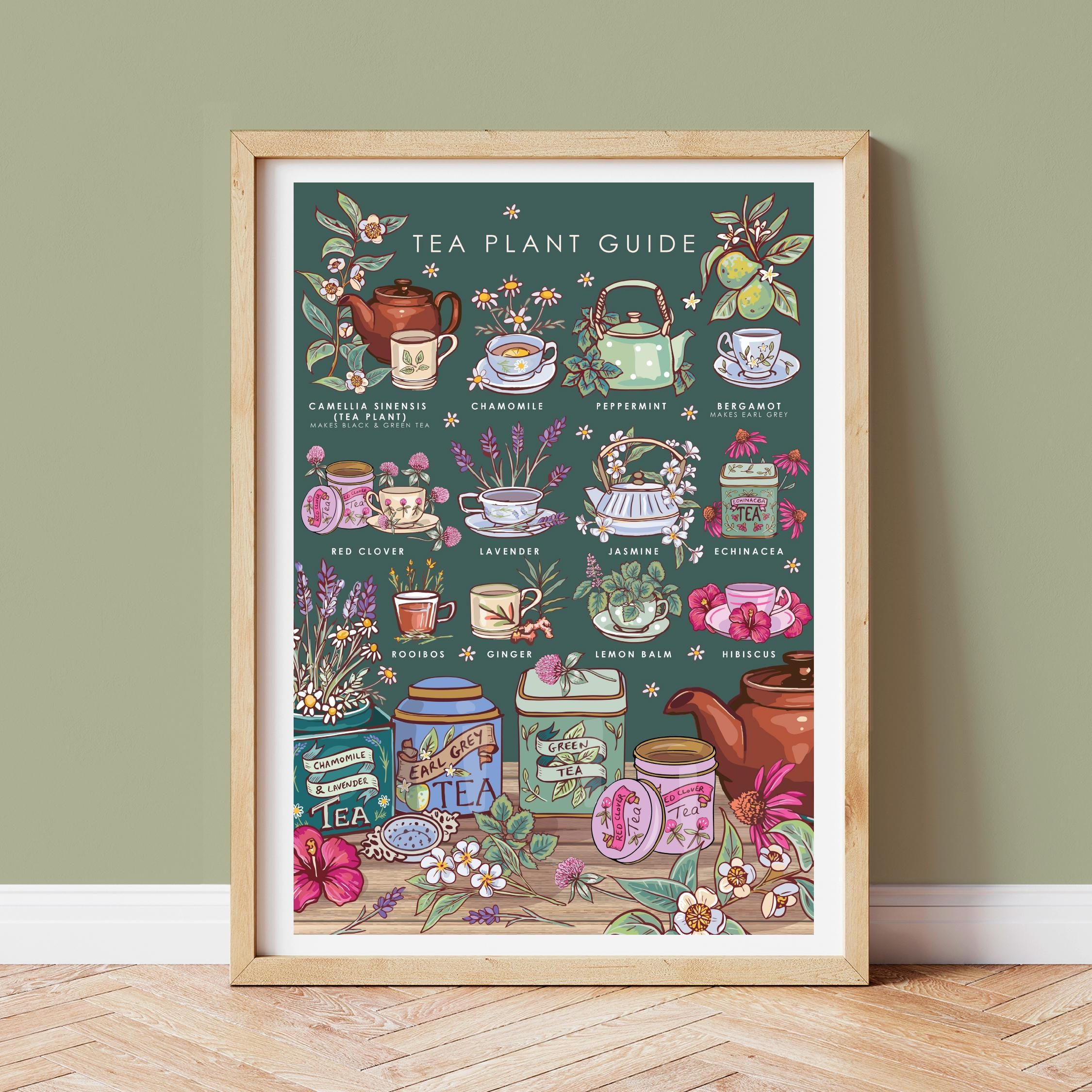 Tea Plants Nature Guide Wall Art Print
