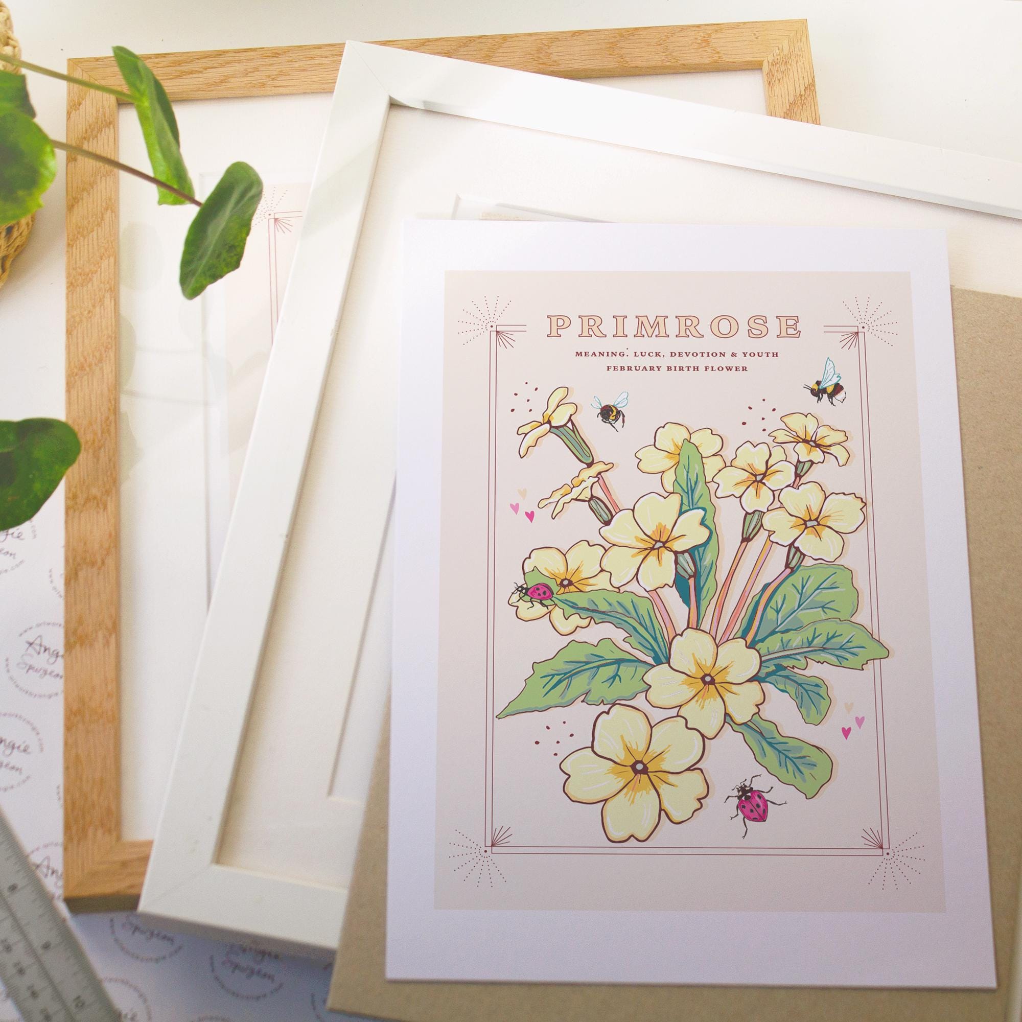 Primrose February Birth Flower Wall Art Print