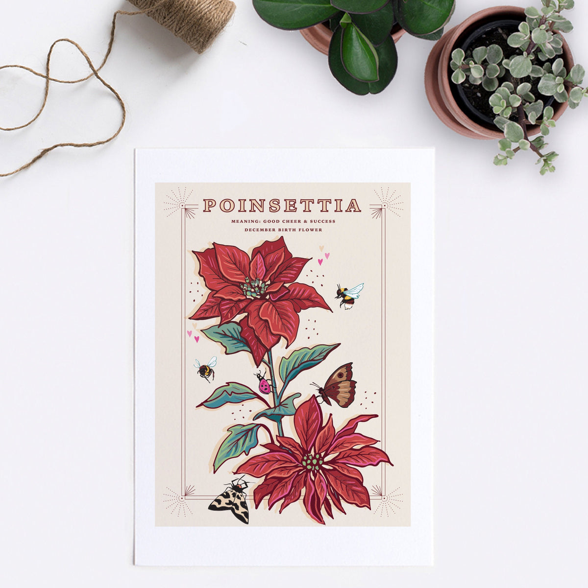 Poinsettia Wall Art Print, December Flower Illustration Print