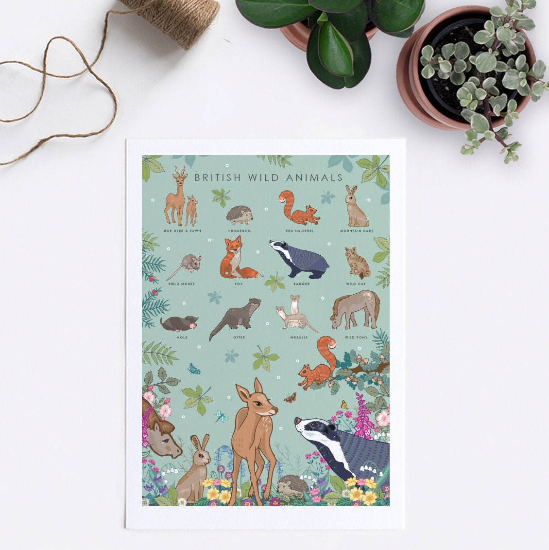 British Wild Animals Nature Guide Wall Art Print