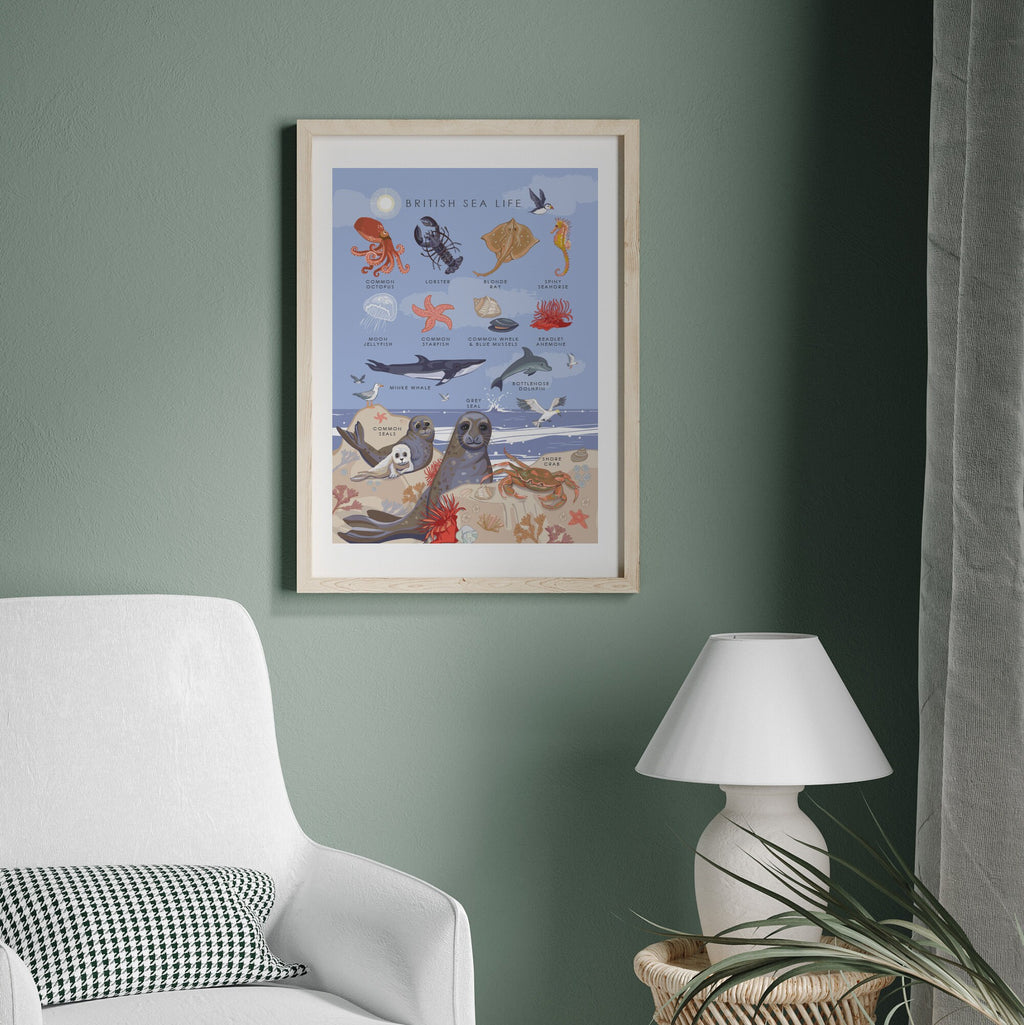 British Sea Life Nature Guide Wall Art