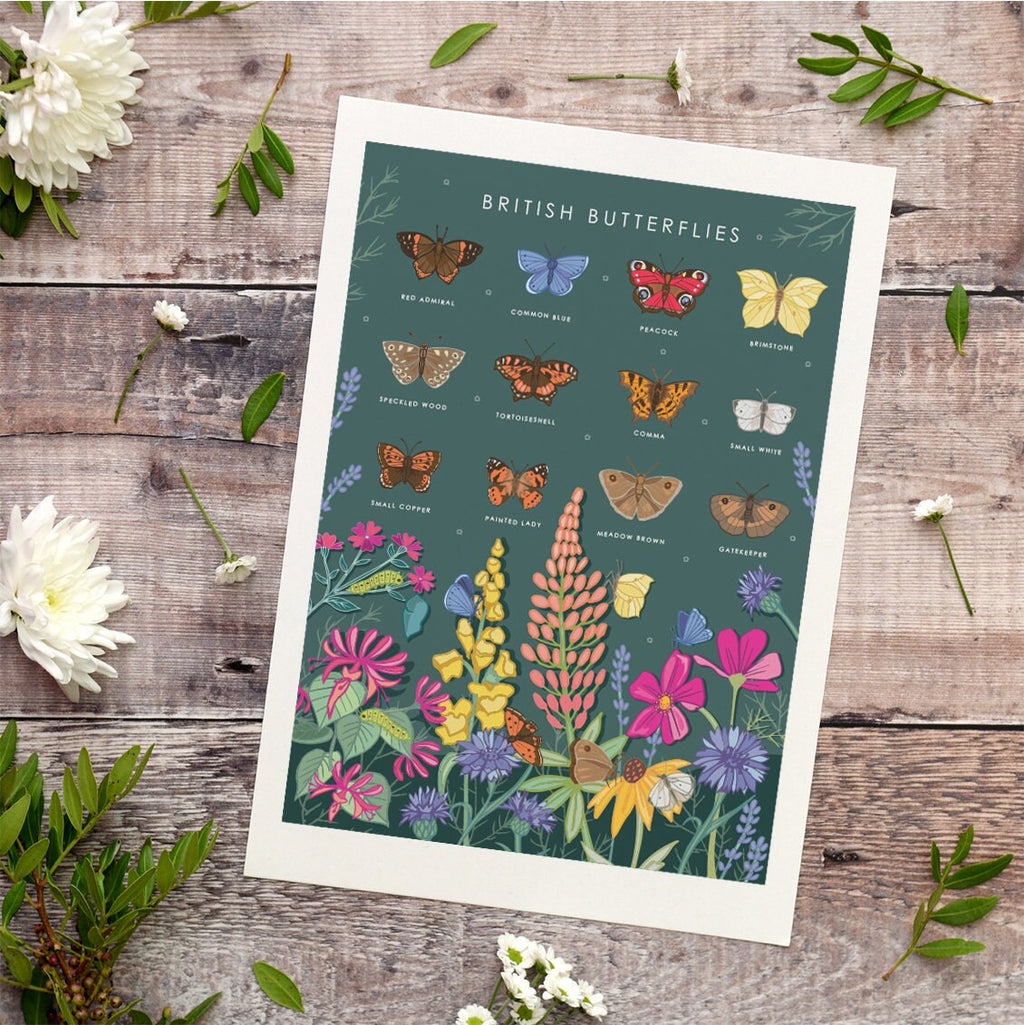 British Butterflies Nature Guide Wall Art Print