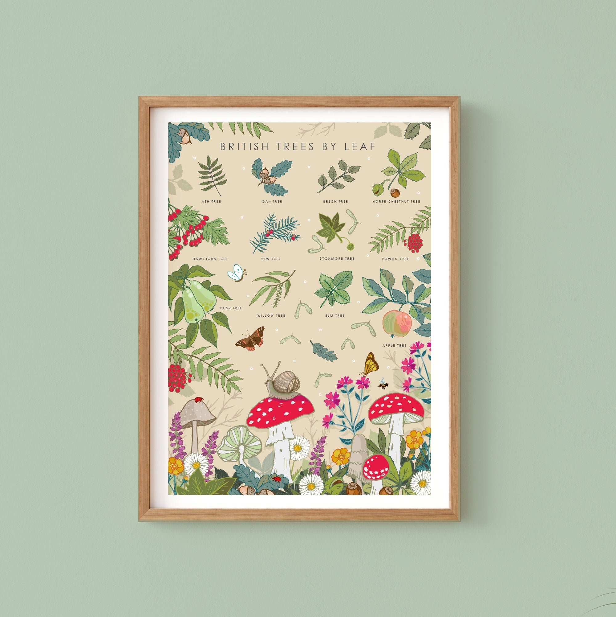 British Trees by Leaves Nature Guide Wall Art