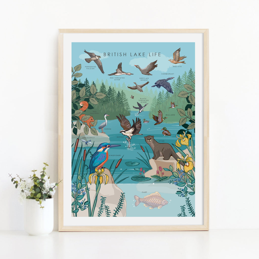 British Lake Wildlife Nature Guide Wall Art