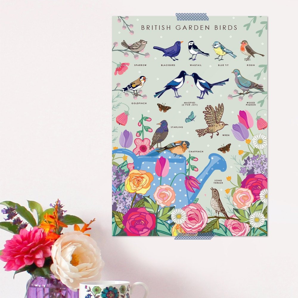 British Garden Birds Nature Guide Wall Art Print