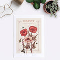 Poppy August Birth Flower Wall Art Print