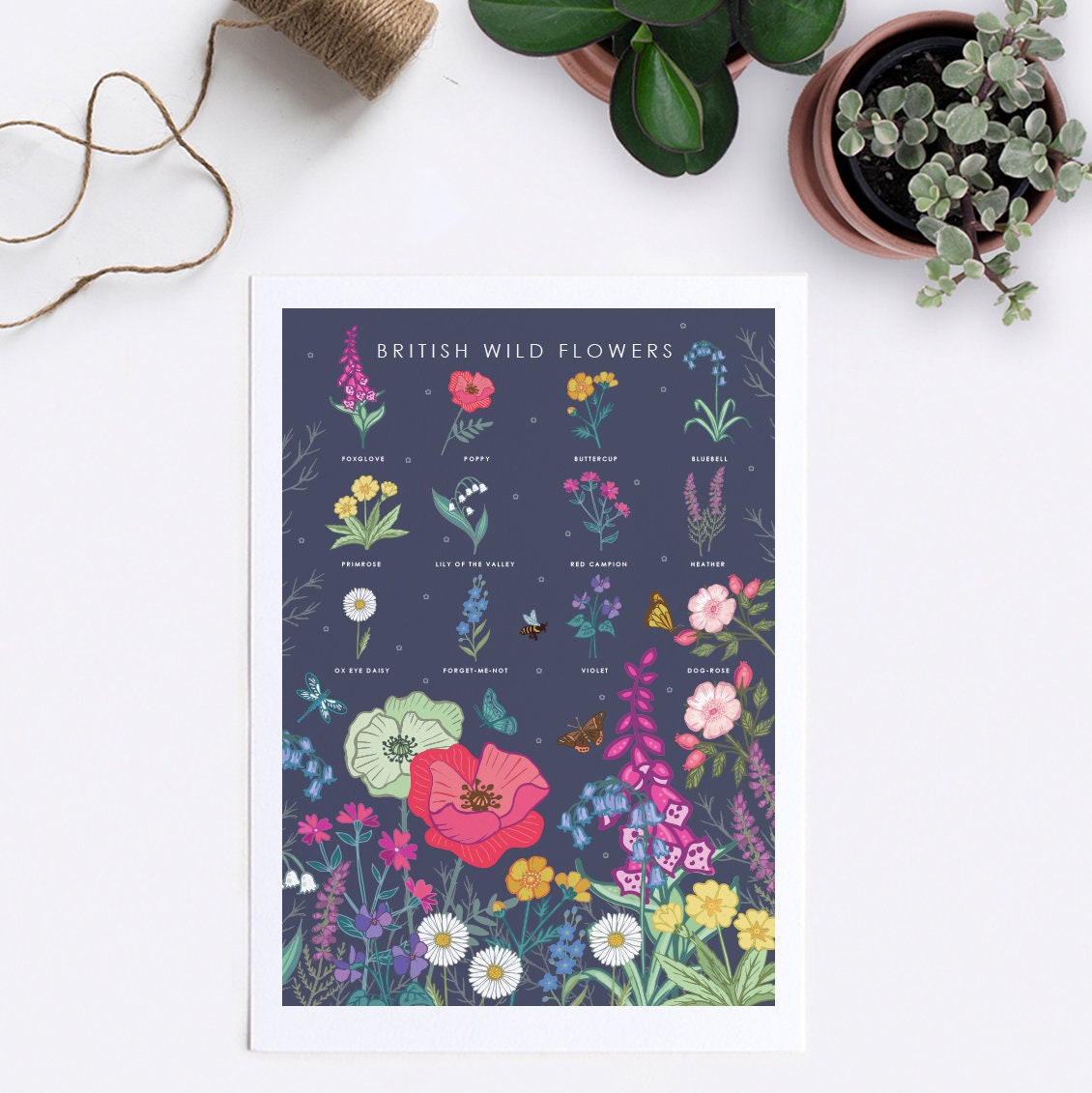 British Wildflowers Nature Guide Wall Art Print