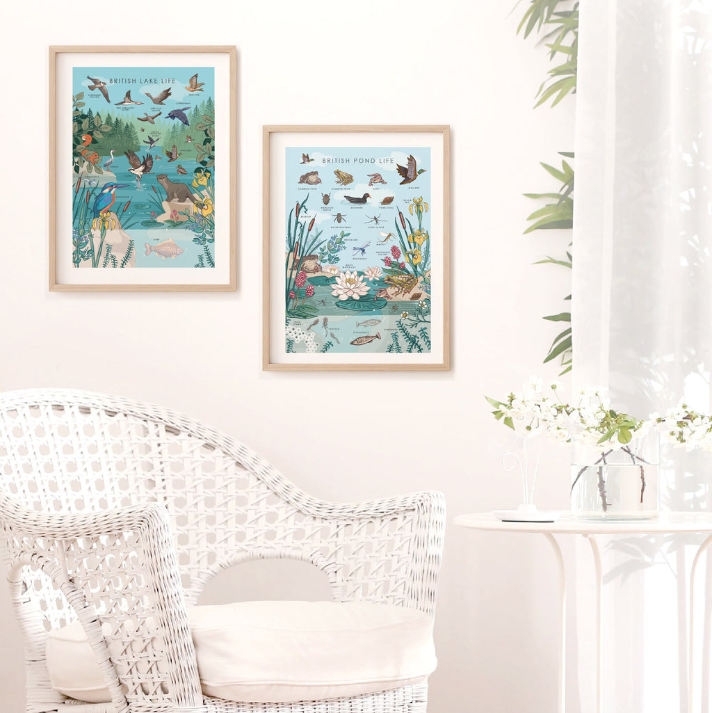 British Lake Wildlife Nature Guide Wall Art