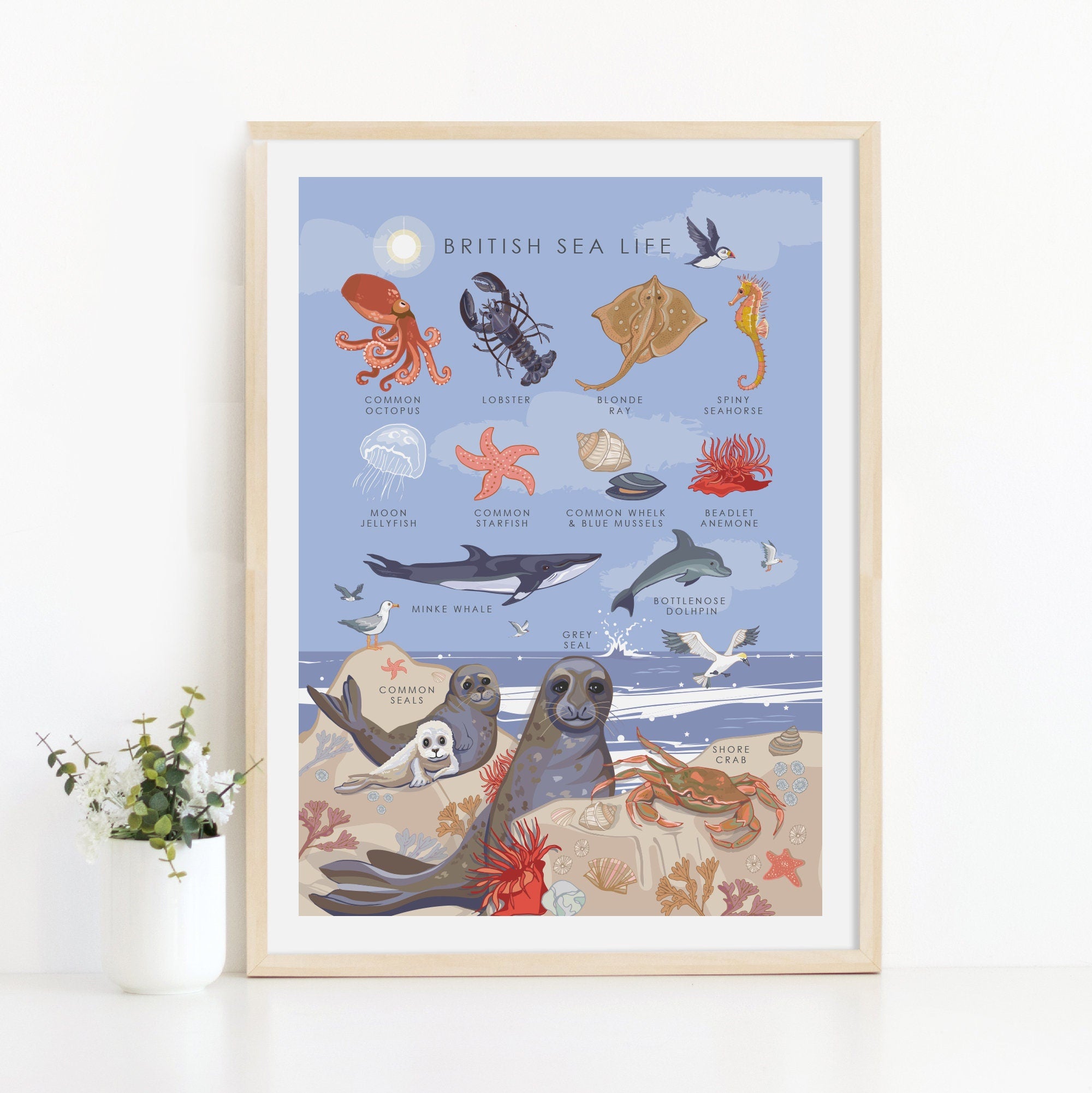 British Sea Life Nature Guide Wall Art
