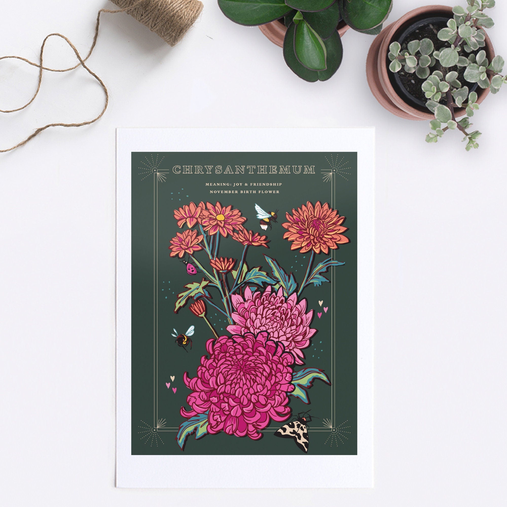Chrysanthemum November Birth Flower Wall Art Print