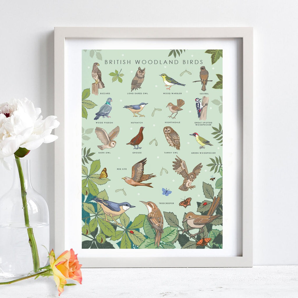 British Woodland Birds Nature Guide Wall Art Print