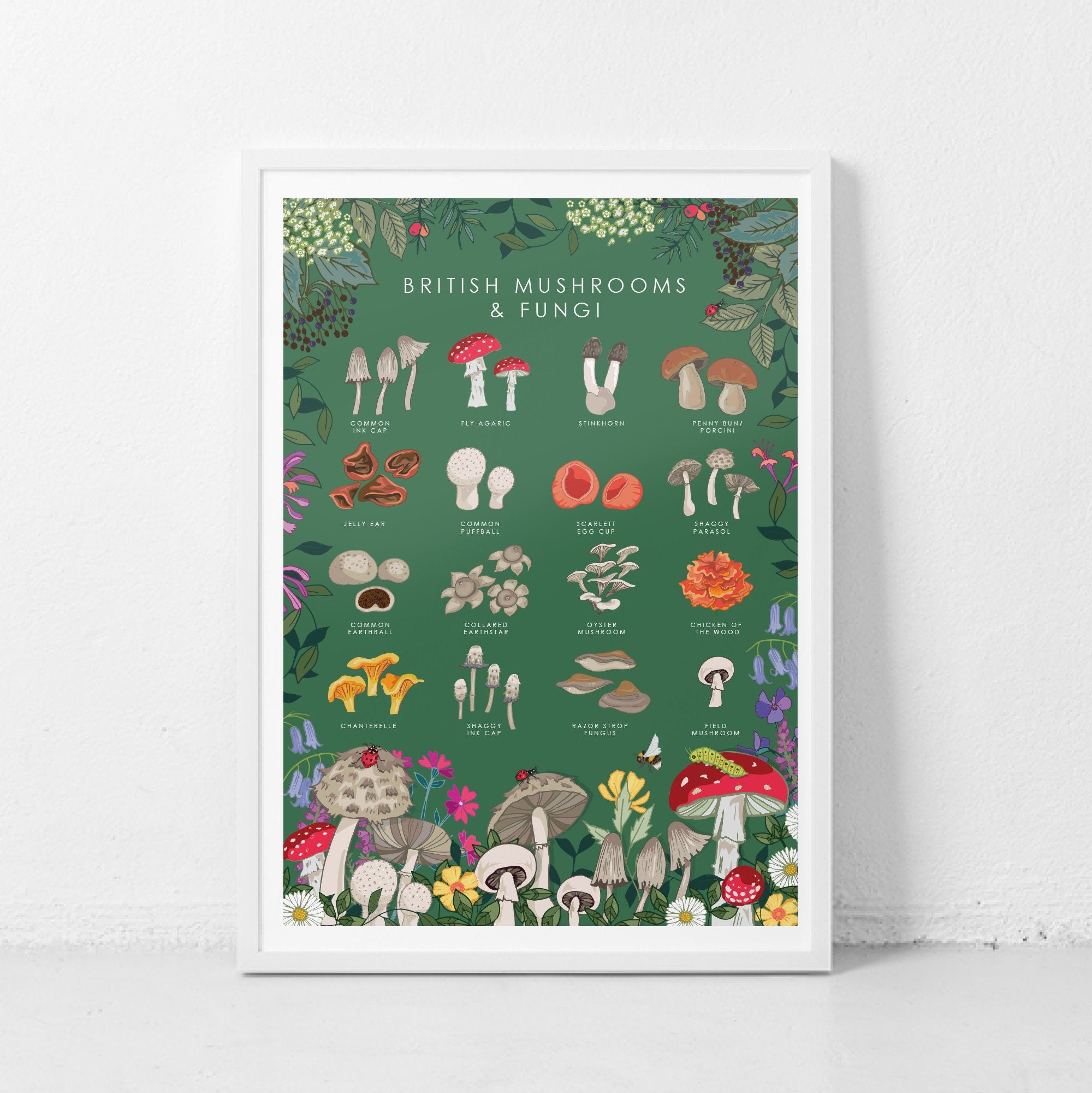 British Mushrooms and Fungi Nature Guide Wall Art Print