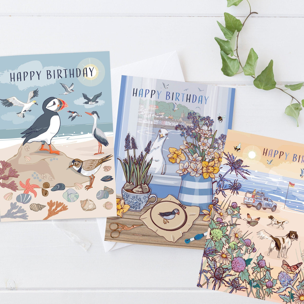 Coastal Bird Birthday Cards - Seaside Set of 3
