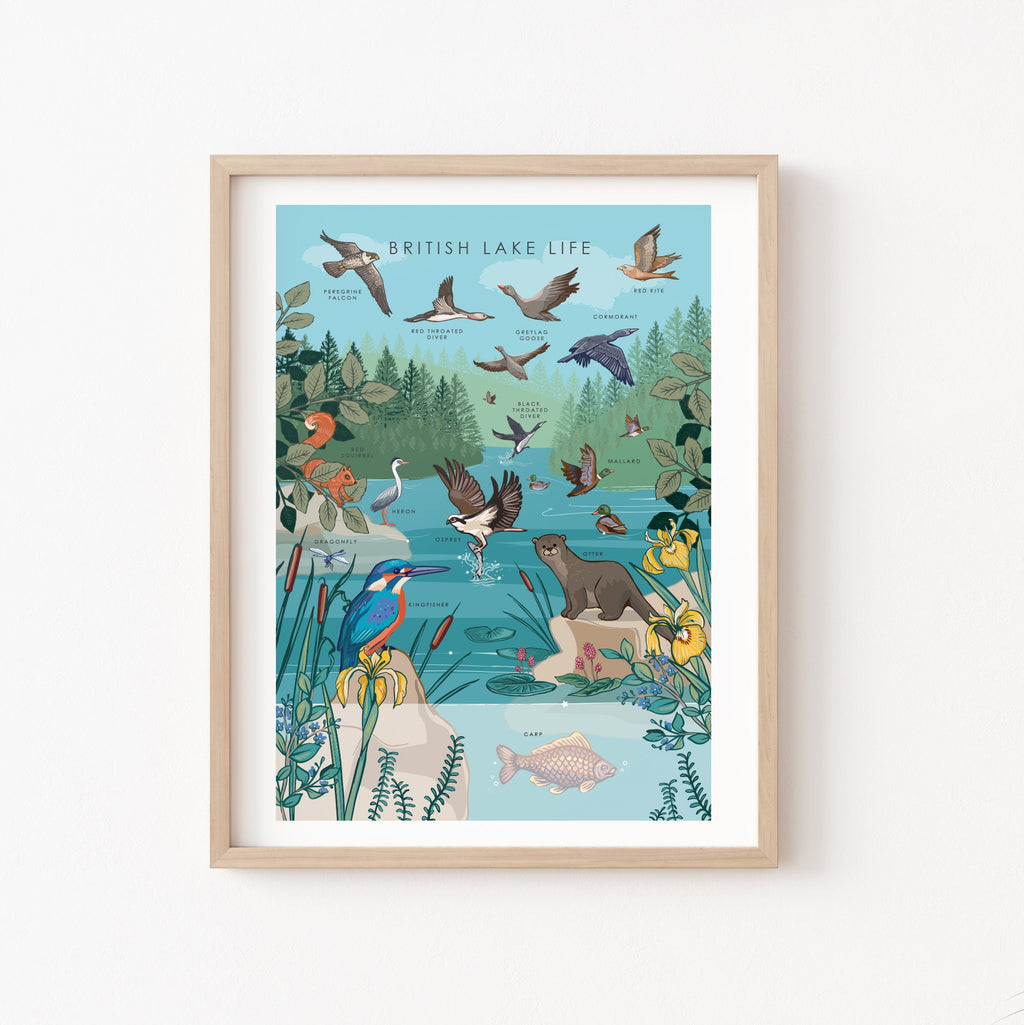 British Lake Wildlife Nature Guide Wall Art