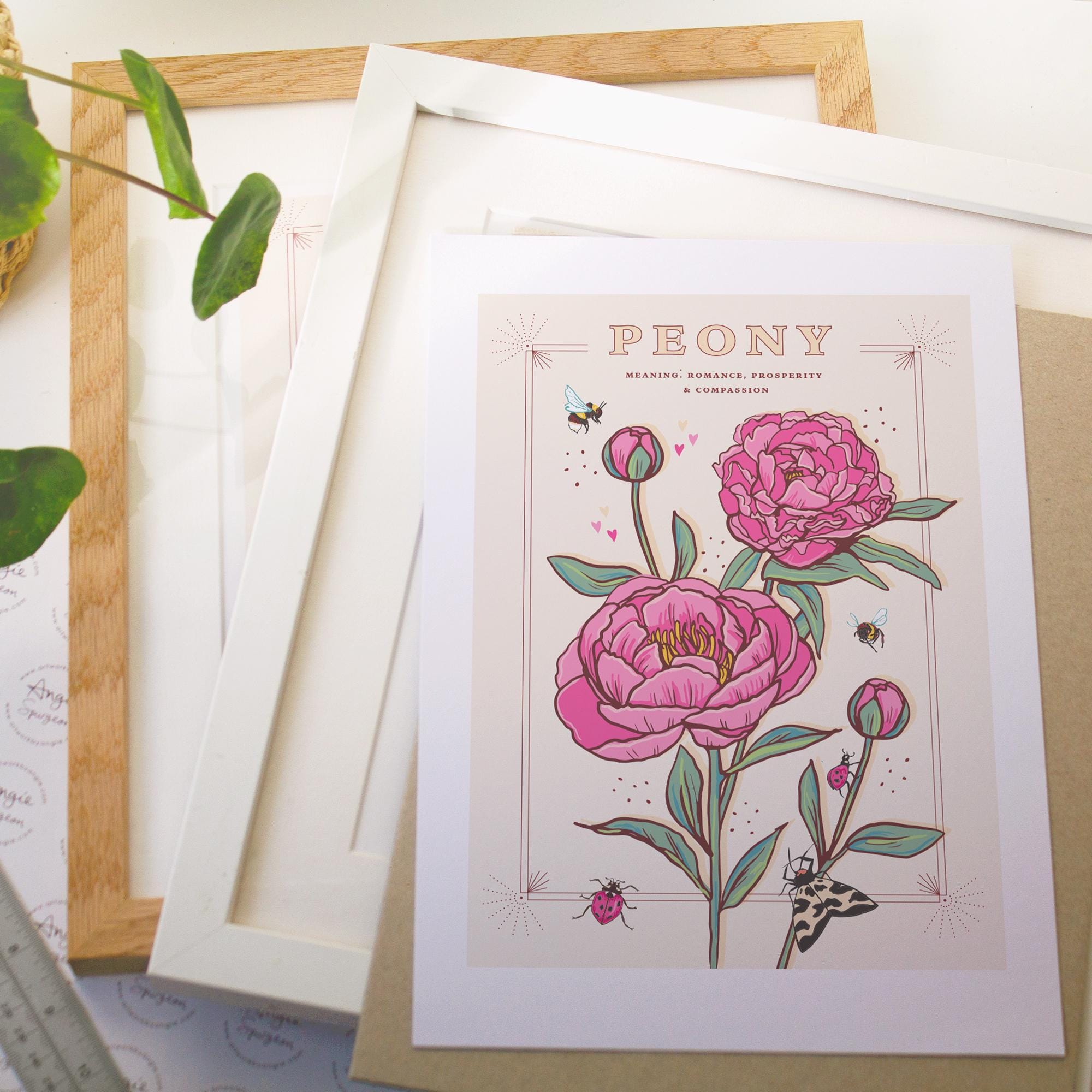 Peony November Birth Flower Wall Art Print