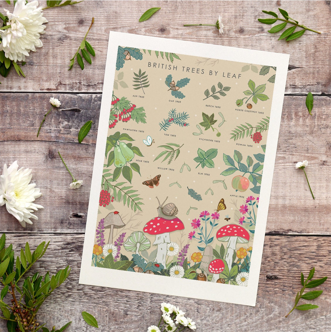 British Trees by Leaves Nature Guide Wall Art