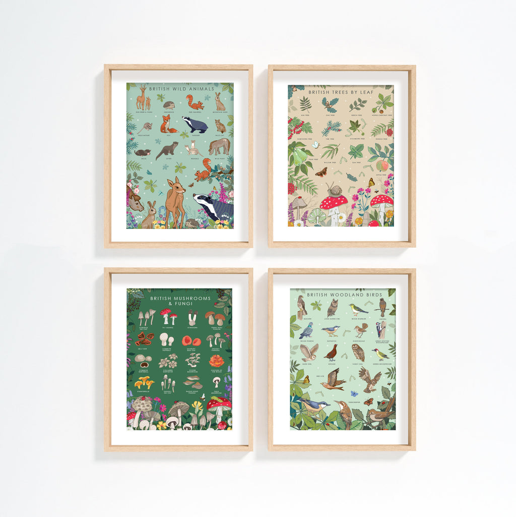 British Wild Animals Nature Guide Wall Art Print
