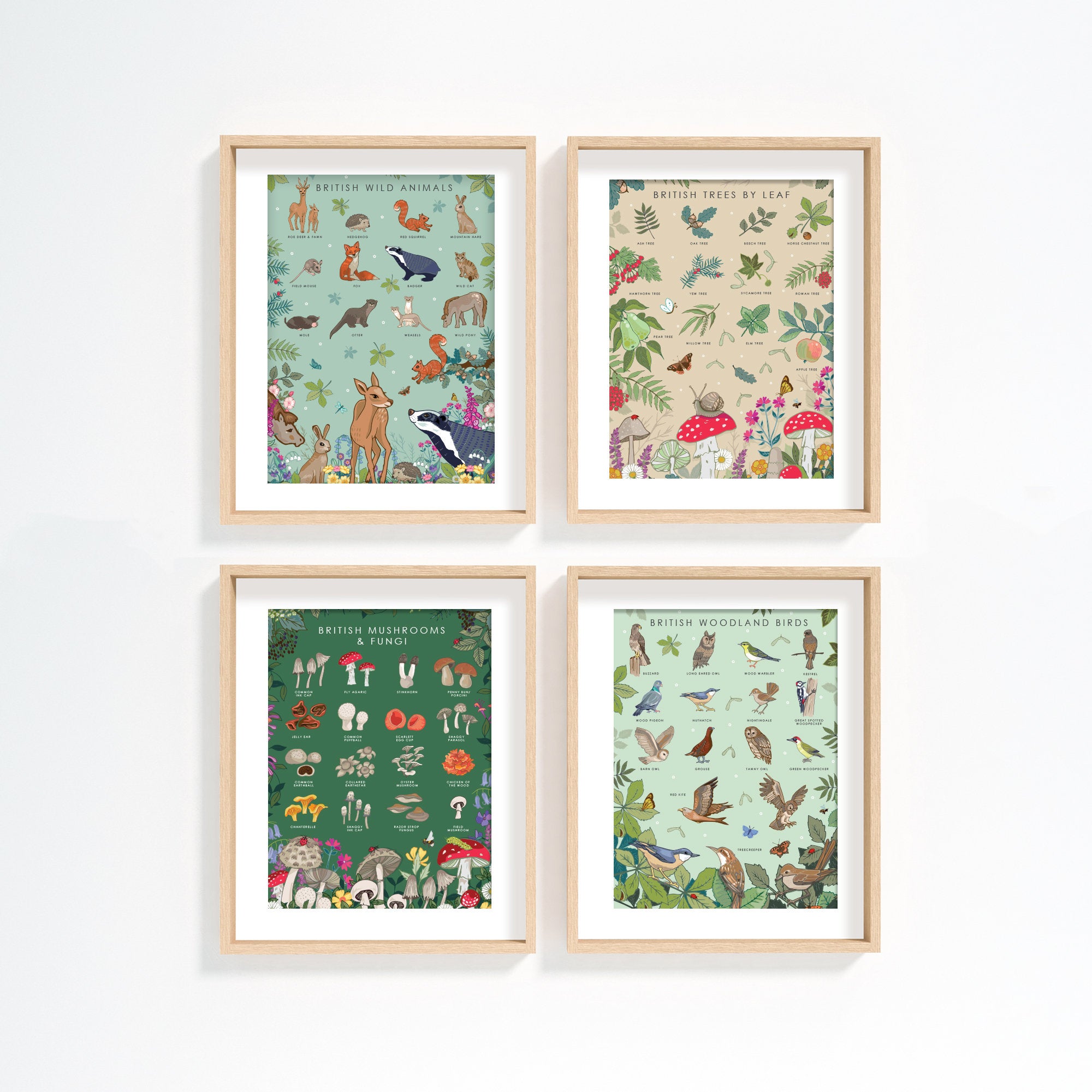 British Wild Animals Nature Guide Wall Art Print
