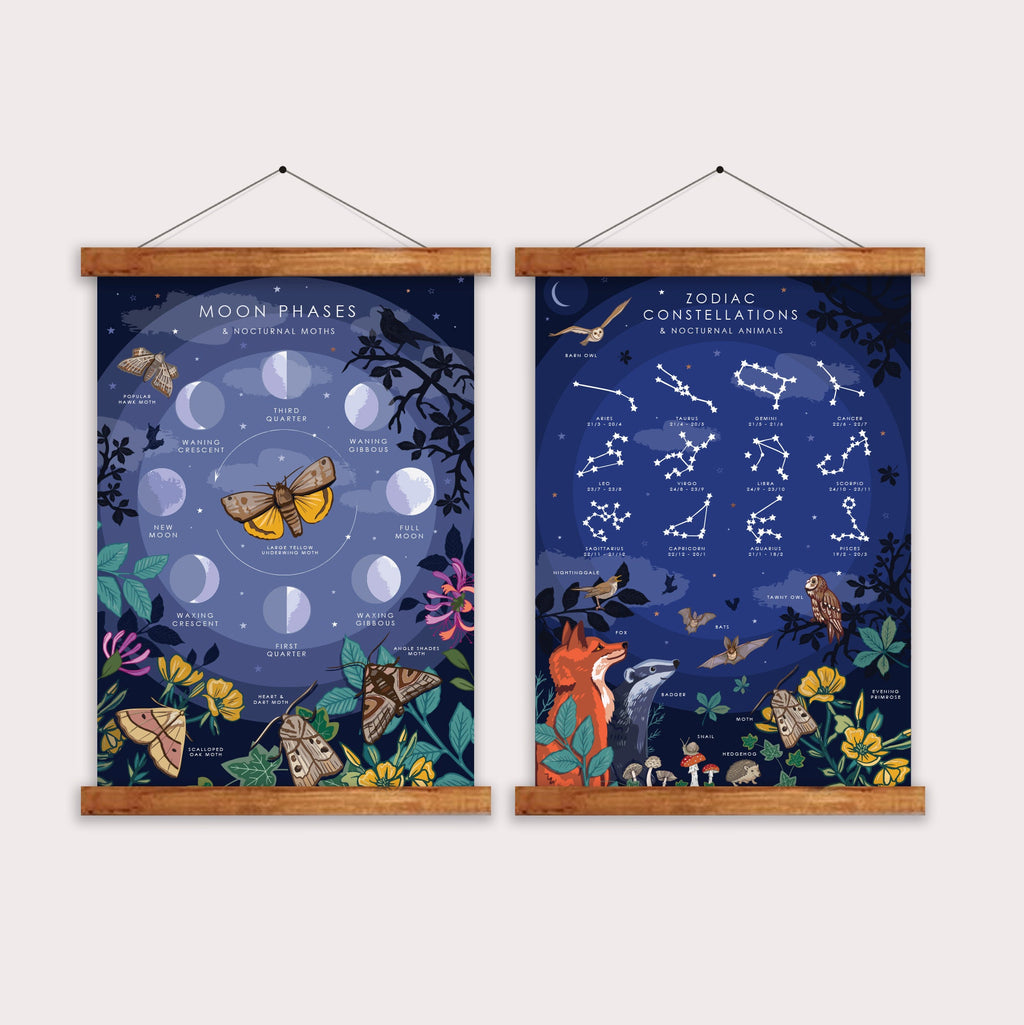Moon Phases and Nocturnal Moths Nature Guide Print