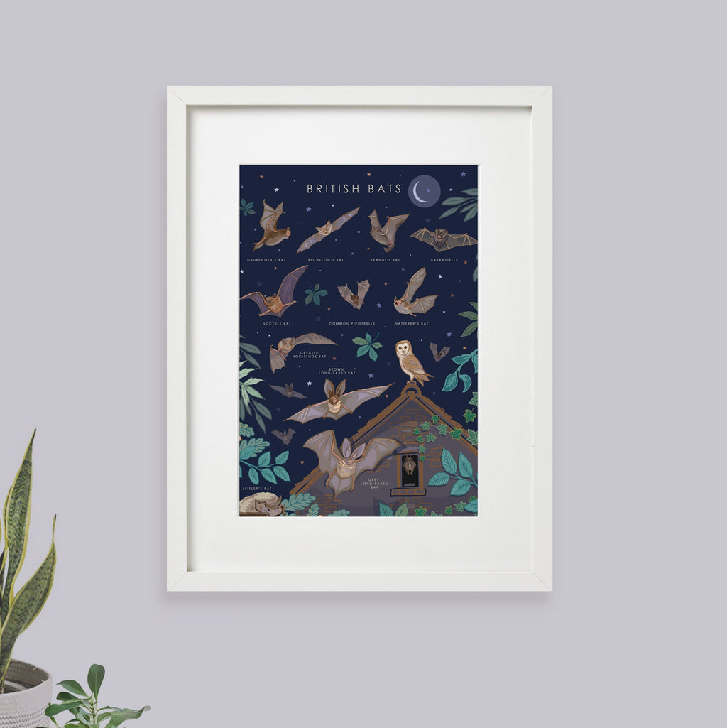 British Bats Nature Guide Wall Art