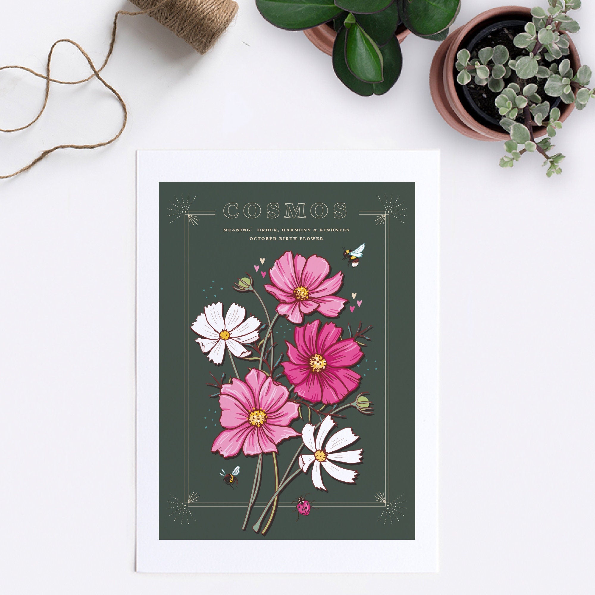Cosmos October Birth Flower Wall Art Print