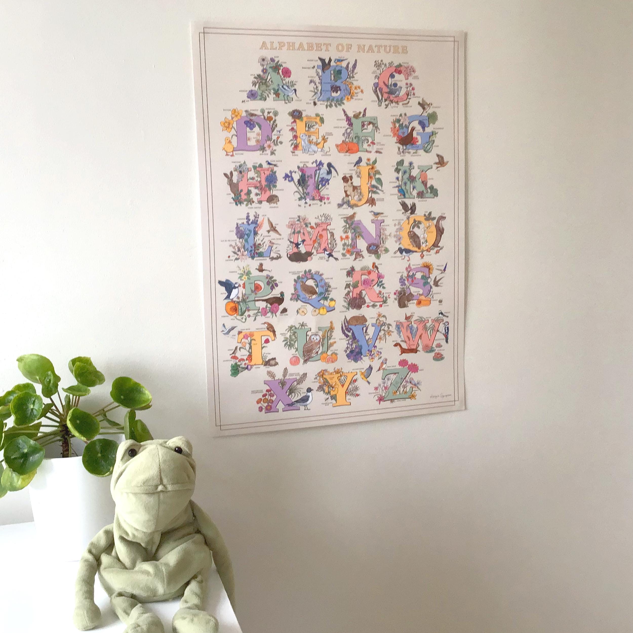 Alphabet of Nature Large Poster A2 size