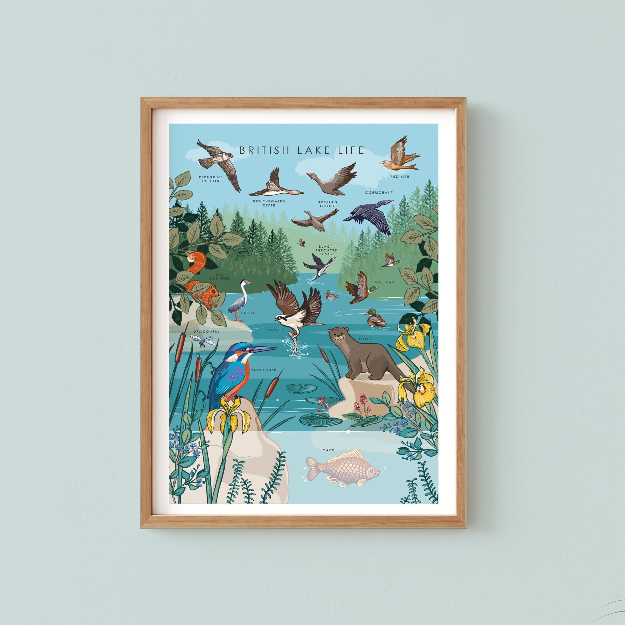 British Lake Wildlife Nature Guide Wall Art