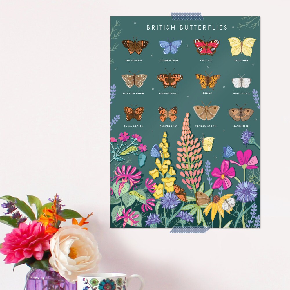 British Butterflies Nature Guide Wall Art Print