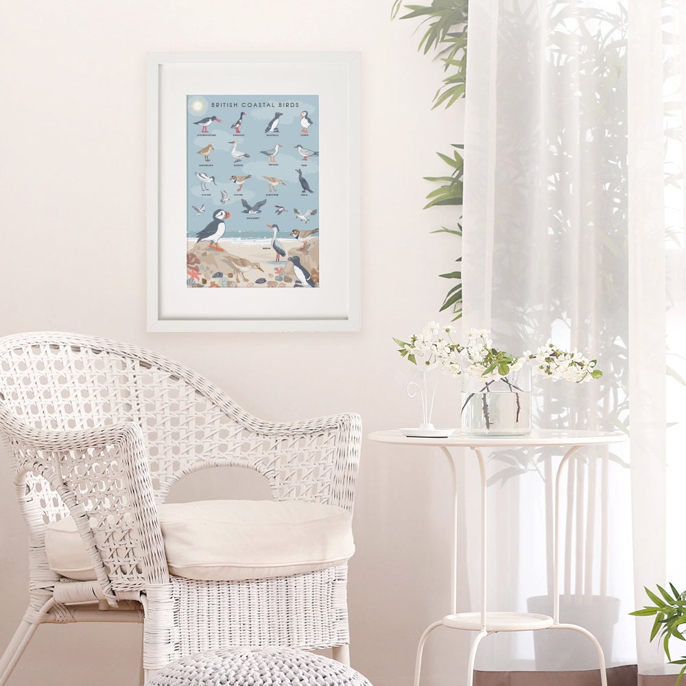 British Coastal Birds Art Print