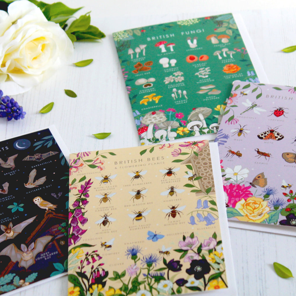 Set of 4 British Nature Guide Cards,  Bees, Insects, Fungi, Bats