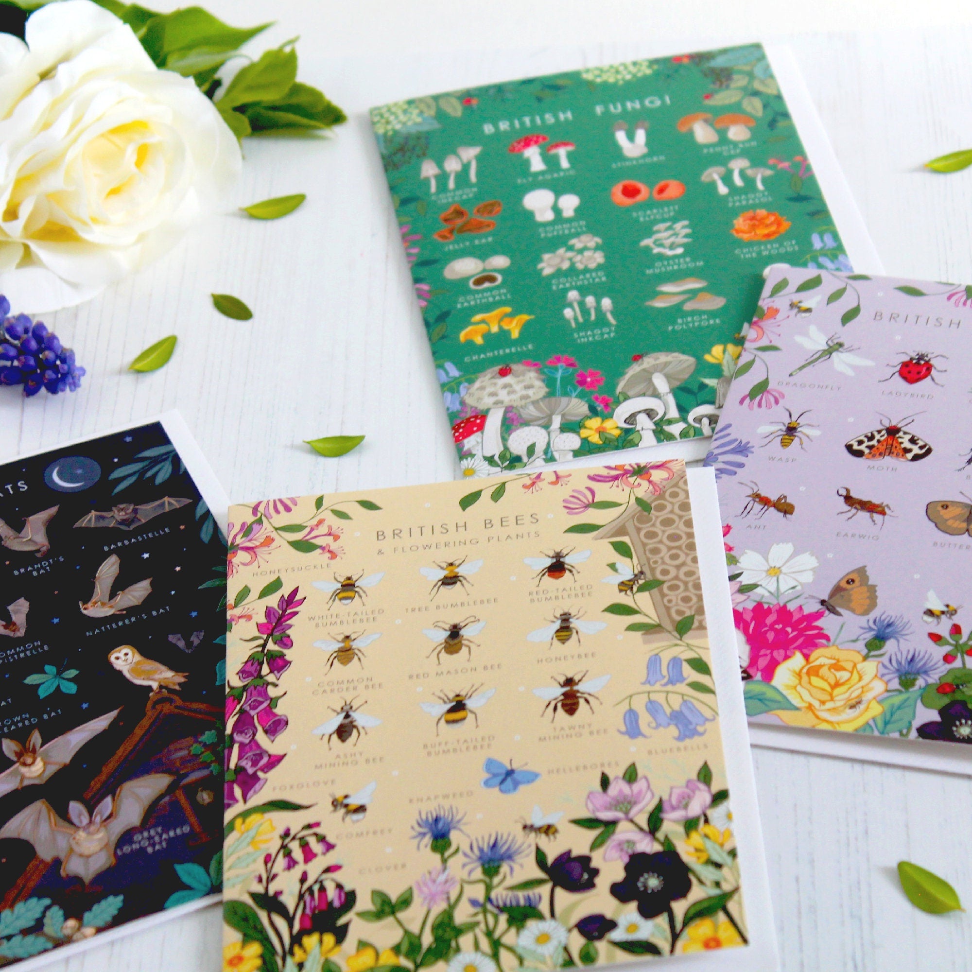 Set of 4 British Nature Guide Cards,  Bees, Insects, Fungi, Bats