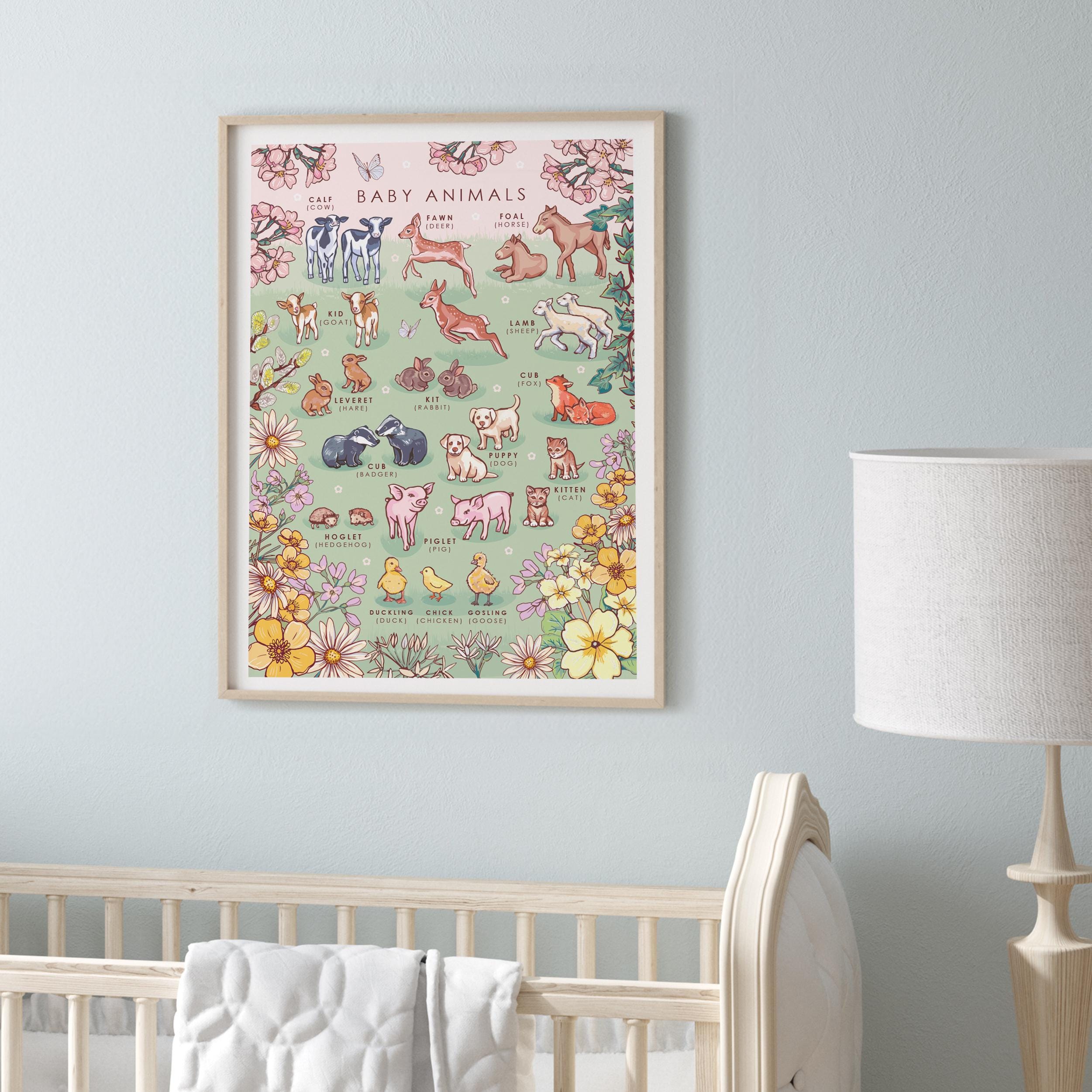 Baby Animals Nature Guide Wall Art Print